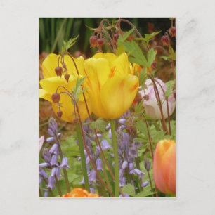 Cartão Postal Flores De Tensão