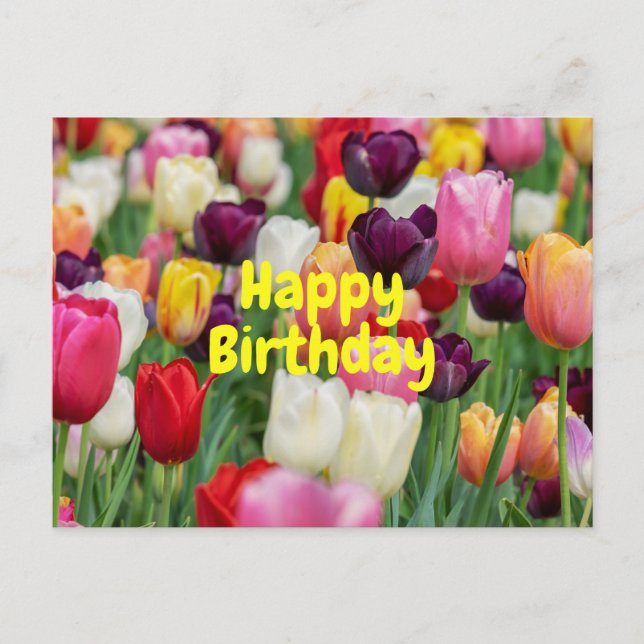 Cartão Postal Flores de Tulipa de Cores Mistas de Aniversário  (Frente)