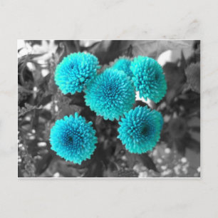 Cartão Postal Flores de Turquesa