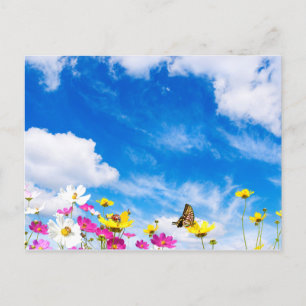 Cartão Postal Flores de verão e céu