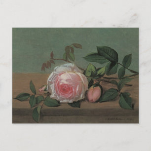Cartão Postal Flores de vida estática em borda de Otto Ottesen