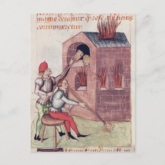 Cartão Postal Flores de vidro, de Tractatus de Herbis (Frente)