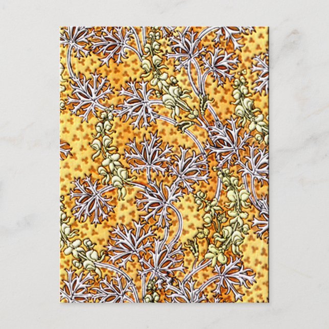 Cartão Postal Flores Deco Nouveau e rendas (Frente)