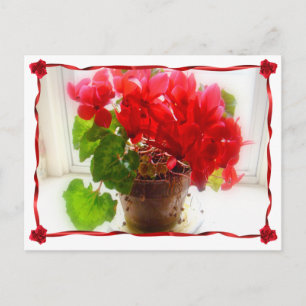 Cartão Postal Flores do Ciclame Vermelho