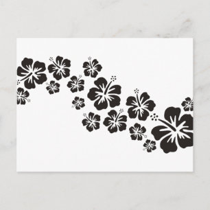 Cartão Postal flores do hibiscus no preto