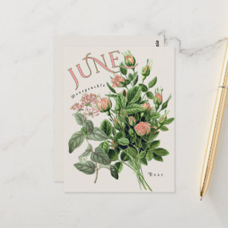 Cartão Postal Flores do Mês de Junho Honeysuckle Rosa Bege