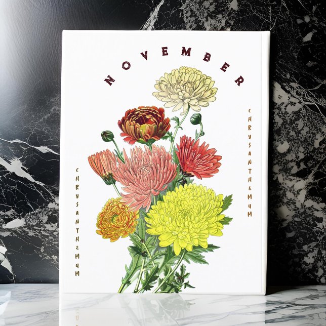 Cartão Postal Flores do Mês de Novembro Crisântemo (Criador carregado)