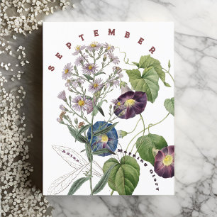 Cartão Postal Flores do Mês de Setembro Aster & Ipoméia