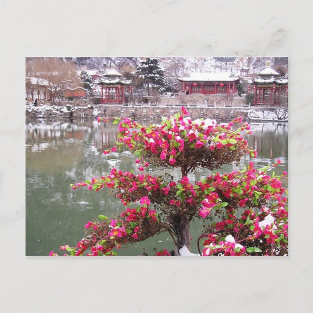 Cartão Postal Flores do Palácio de inverno (Frente)