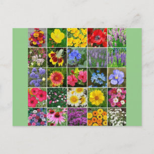 Cartão Postal Flores do Patrimônio - EUA