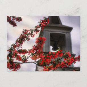 Cartão Postal Flores do sino do velho cemitério de Lynchburg Vir