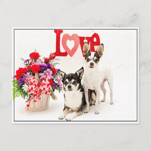 Cartão Postal Flores e Amor