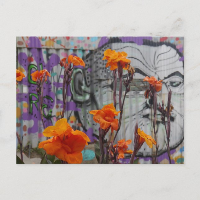 Cartão Postal Flores e Arte de Rua em Valparaíso, Chile (Frente)