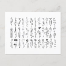 Flores E Plantas De Tinta