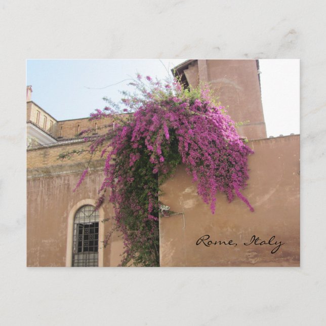 Cartão Postal Flores em Cascata em um Edifício Antigo (Frente)