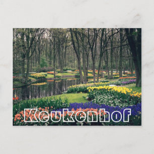 Cartão Postal Flores em Keukenhof, áreas florestais e canal
