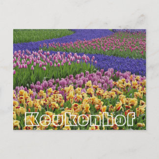 Cartão Postal Flores em Keukenhof, riachos de tulipas