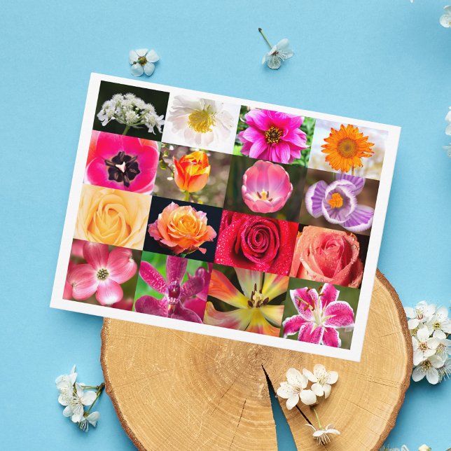 Cartão Postal Flores, Flores em Toda Parte (Criador carregado)