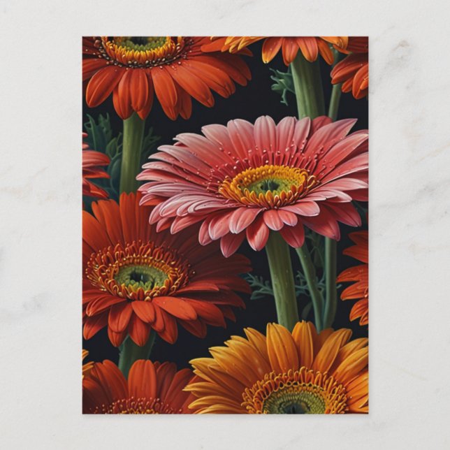 Cartão Postal flores gerbera (Frente)