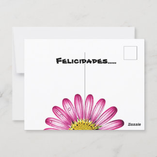 Cartão Postal flores gérbera
