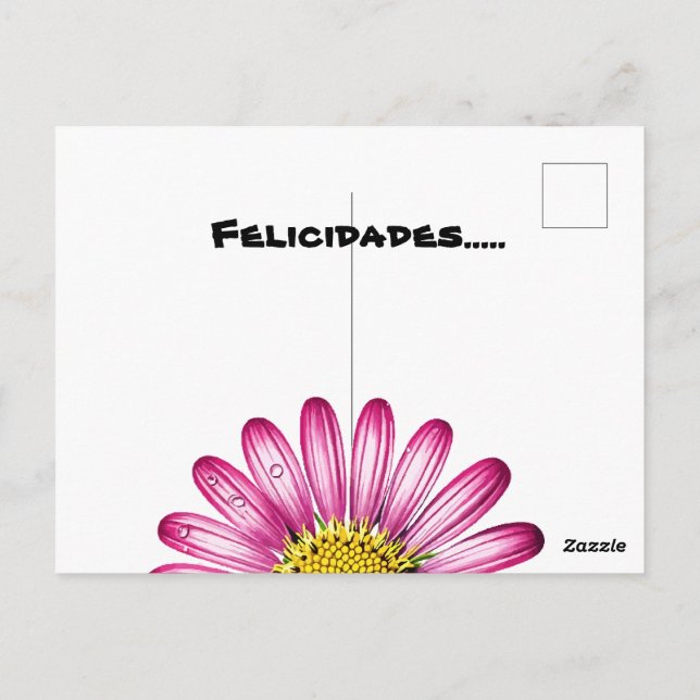 Cartão Postal flores gérbera (Verso)