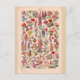 Cartão Postal Flores históricas da Vintage