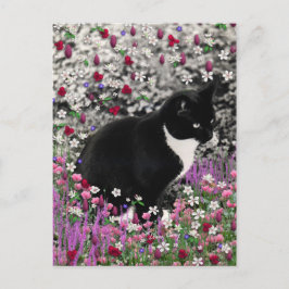 Cartão Postal Flores II - Gato Tuxedo Kitty