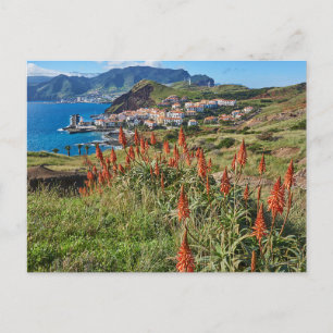 Cartão Postal Flores Ilha da Madeira Portugal