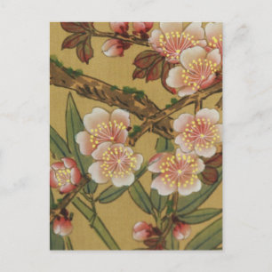 Cartão Postal Flores Japonesas Asiáticas de Cerejeira Vintage