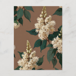 Cartão Postal Flores Liláticas Brancas em Castanho