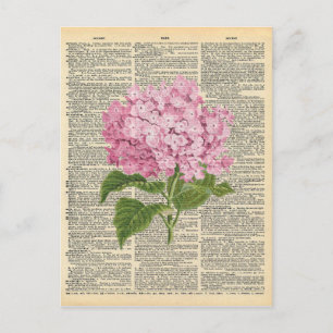 Cartão Postal Flores Liláticas Rosa Suaves de Arte do Dicionár