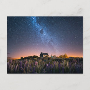 Cartão Postal Flores Lupines Blooming Lake Tekapo Nova Zelândi