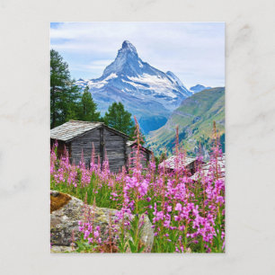 Cartão Postal Flores Matterhorn de verão Suíça