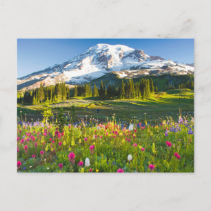 Cartão Postal Flores   Mt. Rainier Wildflower