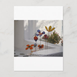 Cartão Postal Flores-Mykonos, piscina