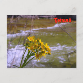 Cartão Postal Flores no Bull Creek