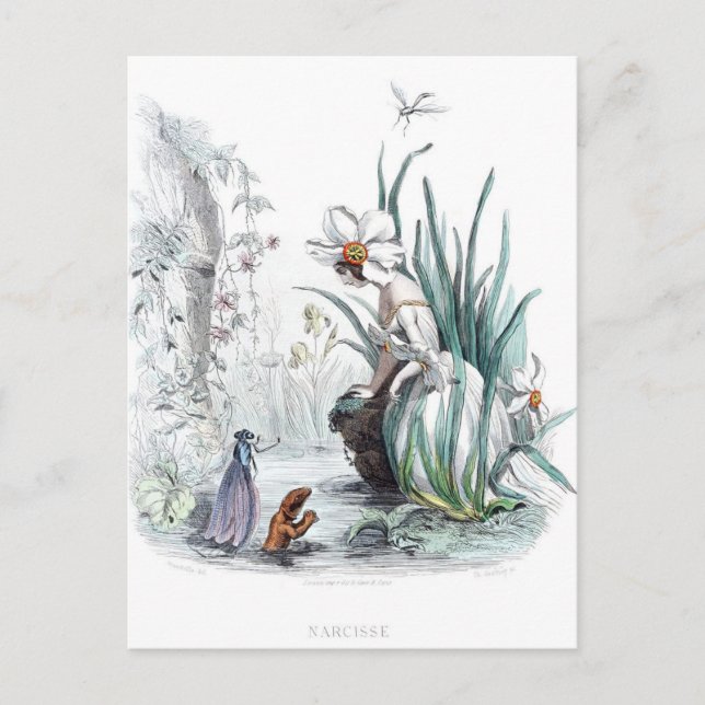 Cartão Postal Flores Personalizadas (Frente)