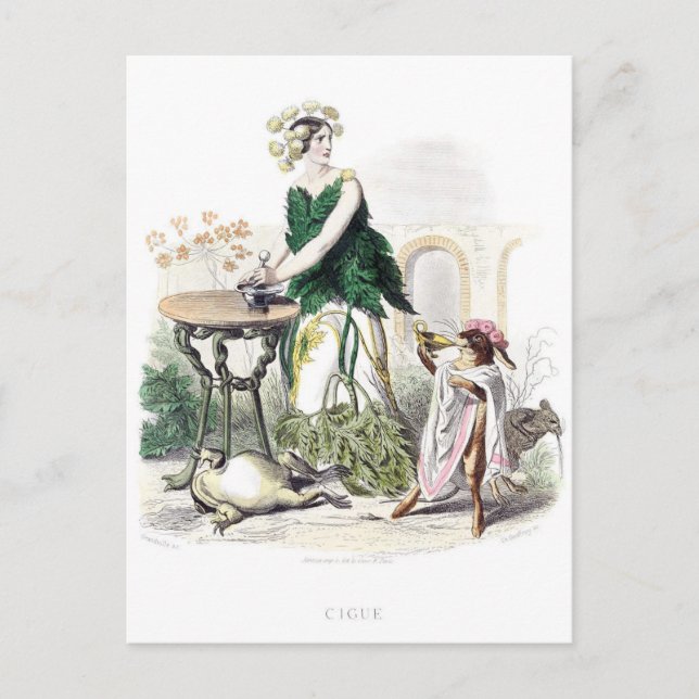 Cartão Postal Flores Personalizadas (Frente)