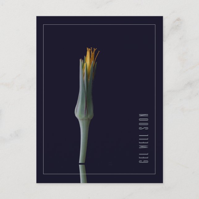 Cartão Postal Flores Personalizadas Simples e Elegantes para Mel (Frente)