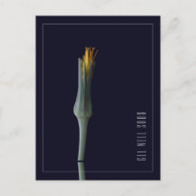 Flores Personalizadas Simples e Elegantes para Ráp