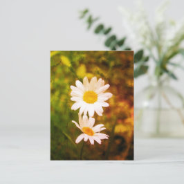 Cartão Postal Flores Românticas – Casal de Margaridas Botânicas