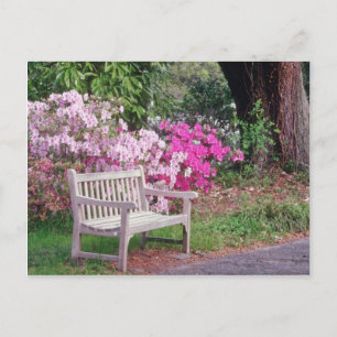 Cartão Postal Flores rosa do banco do jardim