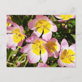 Cartão Postal Flores Rosa e Amarelo