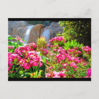 Cartão Postal Flores rosa e cascata