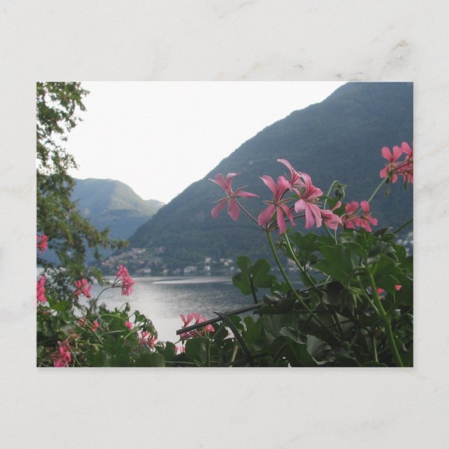 Cartão Postal Flores rosa sobre o Lago Como (Frente)