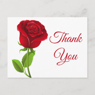 Cartão Postal Flores Rosa Vermelha Obrigado Floral