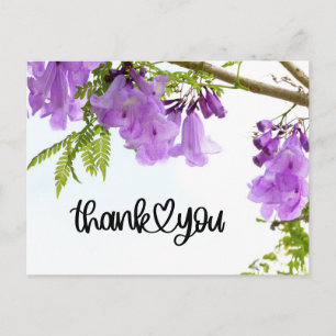 Cartão Postal Flores Roxas de Jacarandá Obrigado(a)