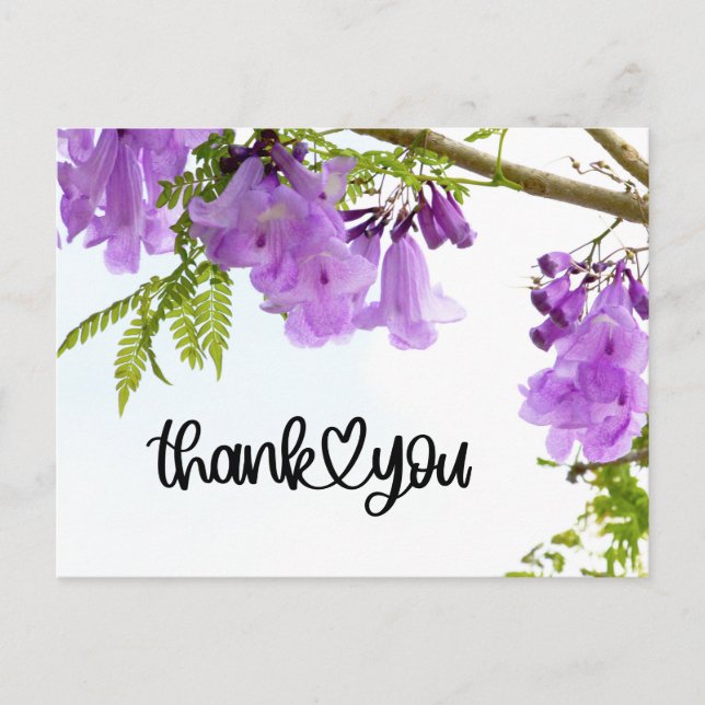 Cartão Postal Flores Roxas de Jacarandá Obrigado(a) (Frente)