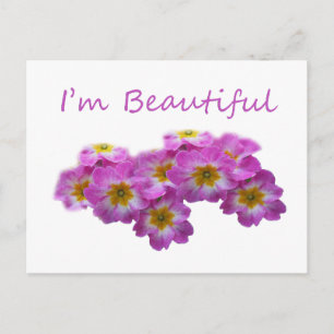 Cartão Postal Flores roxas, sou linda