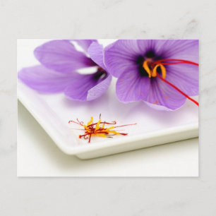 Cartão Postal Flores Saffron